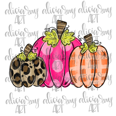 Pink Orange Leopard Pumpkin Trio