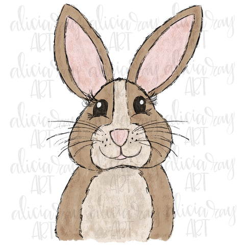 Painted Bunny Rabbit
